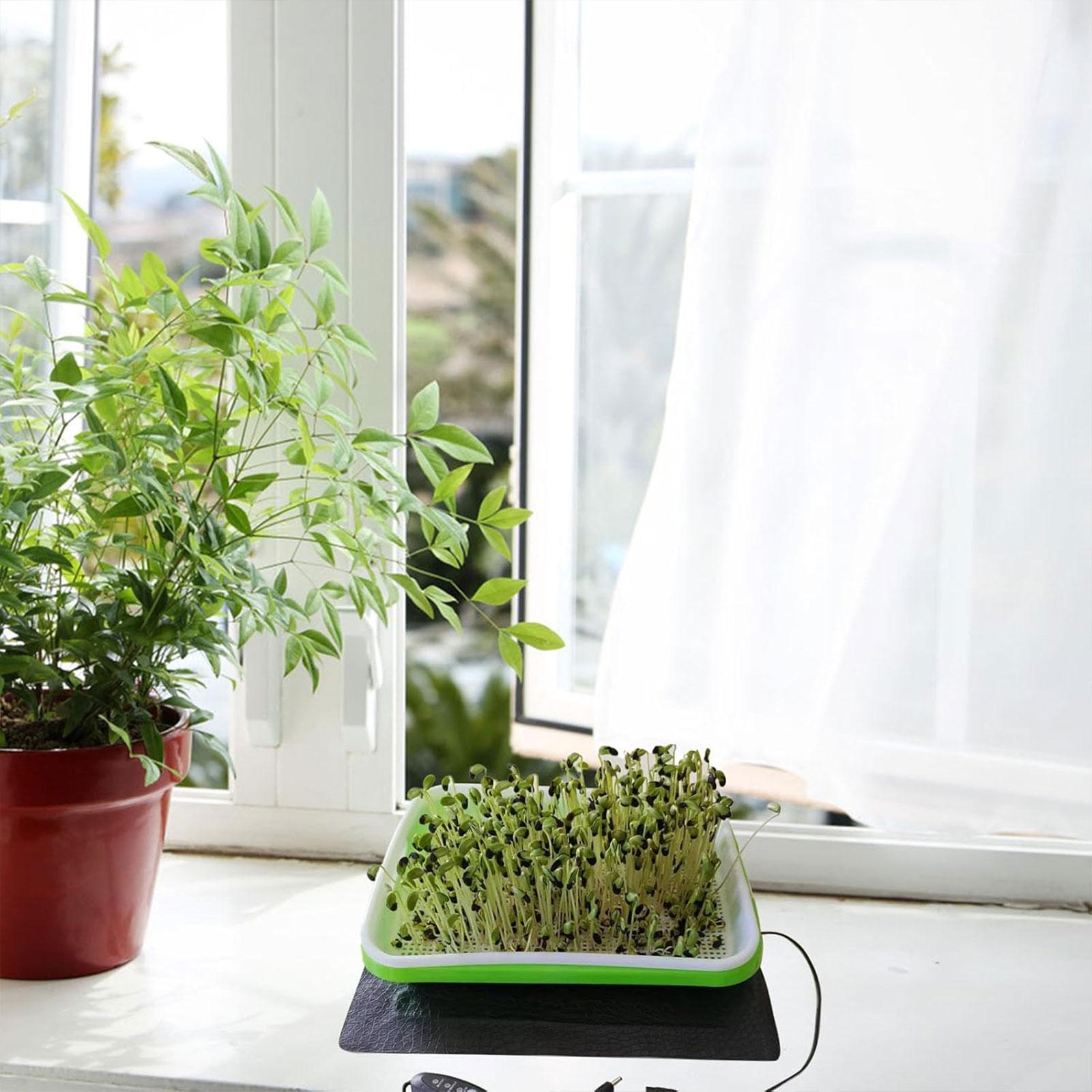 Alfombrilla Térmica Hidropónic - Seedling Heat Mat reseña y precio